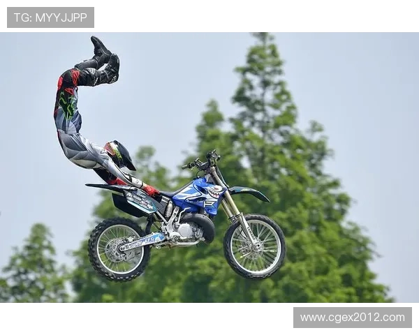 上海极限运动队意识表现的数据分析与研究探讨